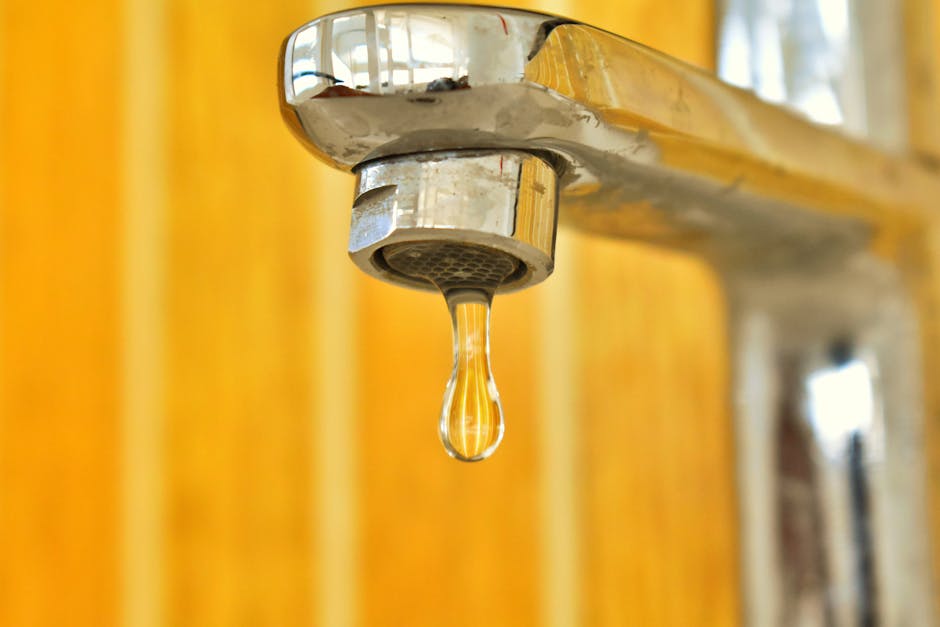 Leak Detection in Palatine, IL - The Palatine Plumber