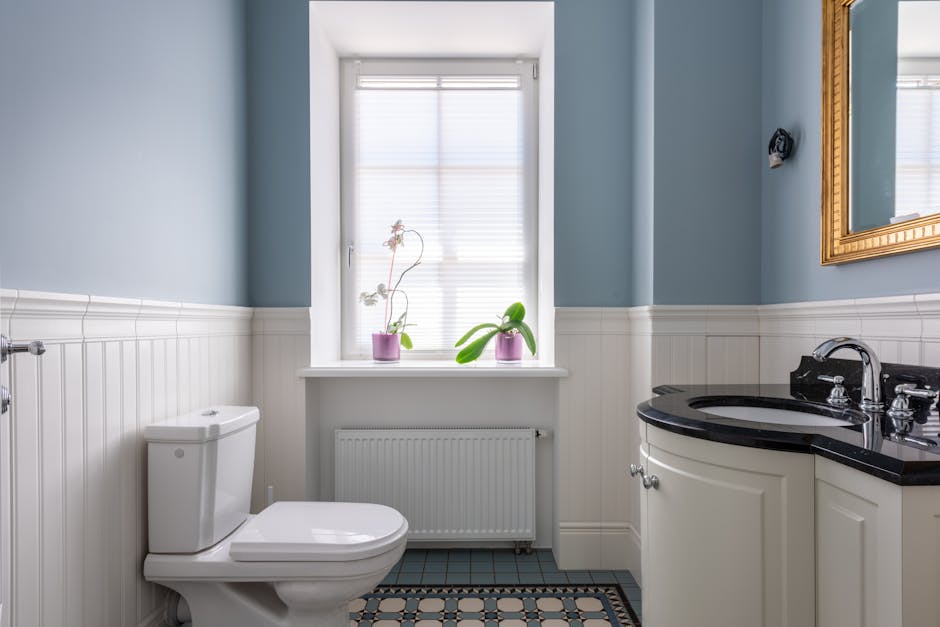Toilet Repair & Installation in Palatine, IL - The Palatine Plumber